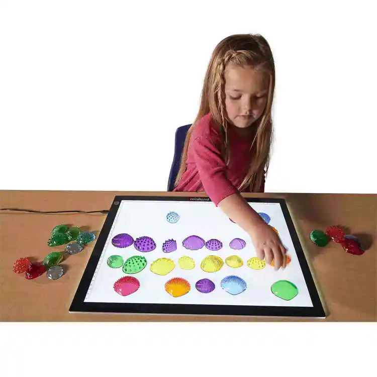 Translucent Tactile Shells Set