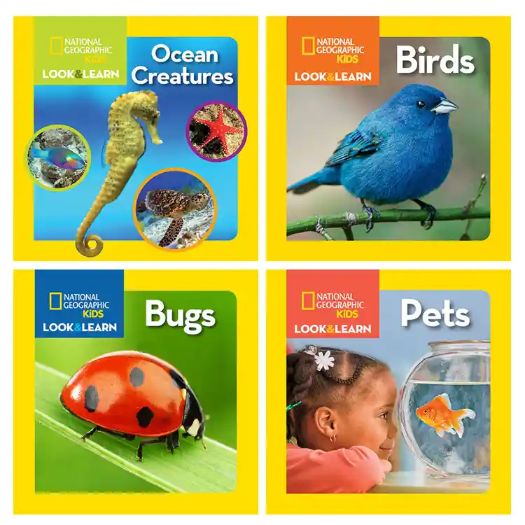 Look & Learn Book Set