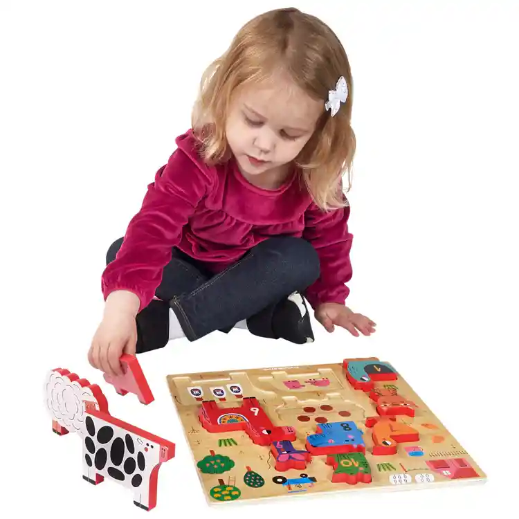 Wood Stacking Puzzle Set