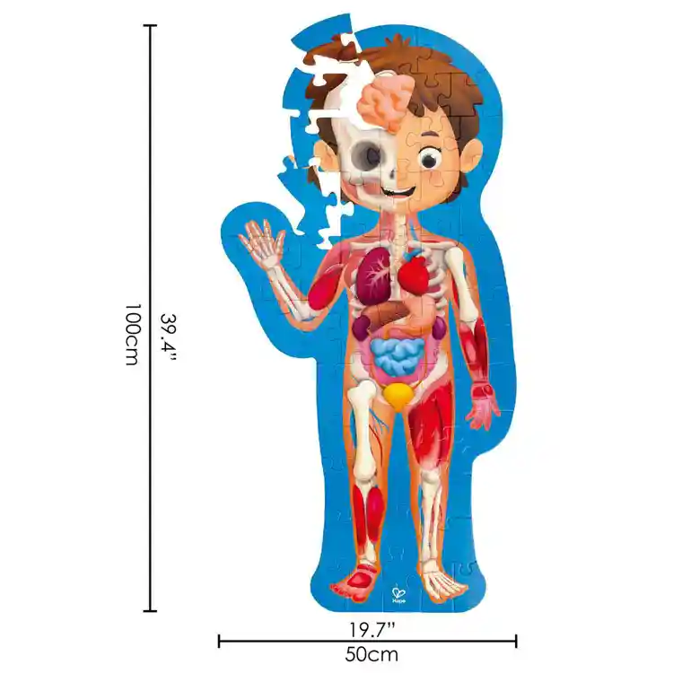 Human Body Puzzle